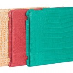 New iPad Cases: Give your Tablet a New Touch