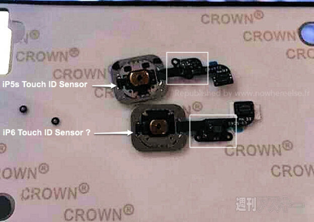 iPhone 6's internal parts leaked